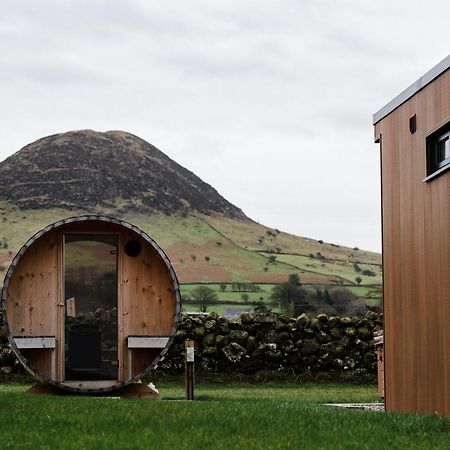 Slemish Hideaway - Funky Pheasant Villa Broughshane Екстериор снимка