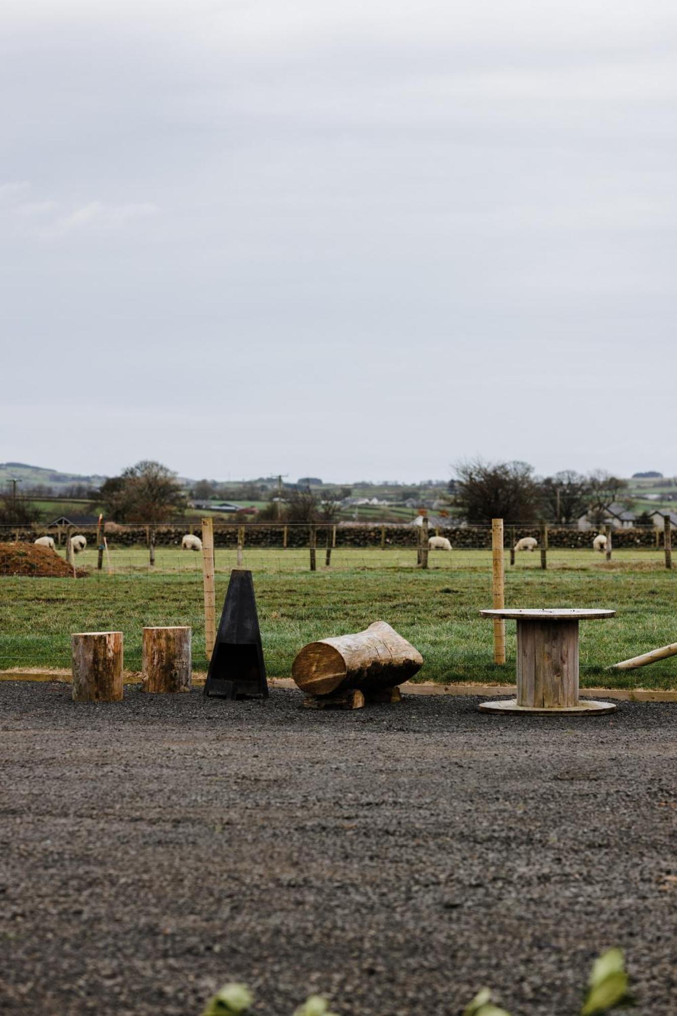 Slemish Hideaway - Funky Pheasant Villa Broughshane Екстериор снимка
